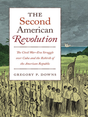 cover image of The Second American Revolution
